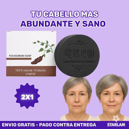 Polyg® - 2X1 Shampoo en barra anti caída y fortalecimiento del cabello con formula Coreana