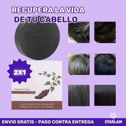 Polyg® - 2X1 Shampoo en barra anti caída y fortalecimiento del cabello con formula Coreana
