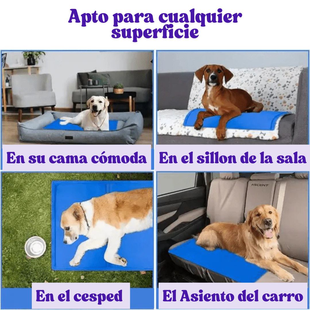 CoolPet | Tapete pare refrescar mascotas | Envío grratis